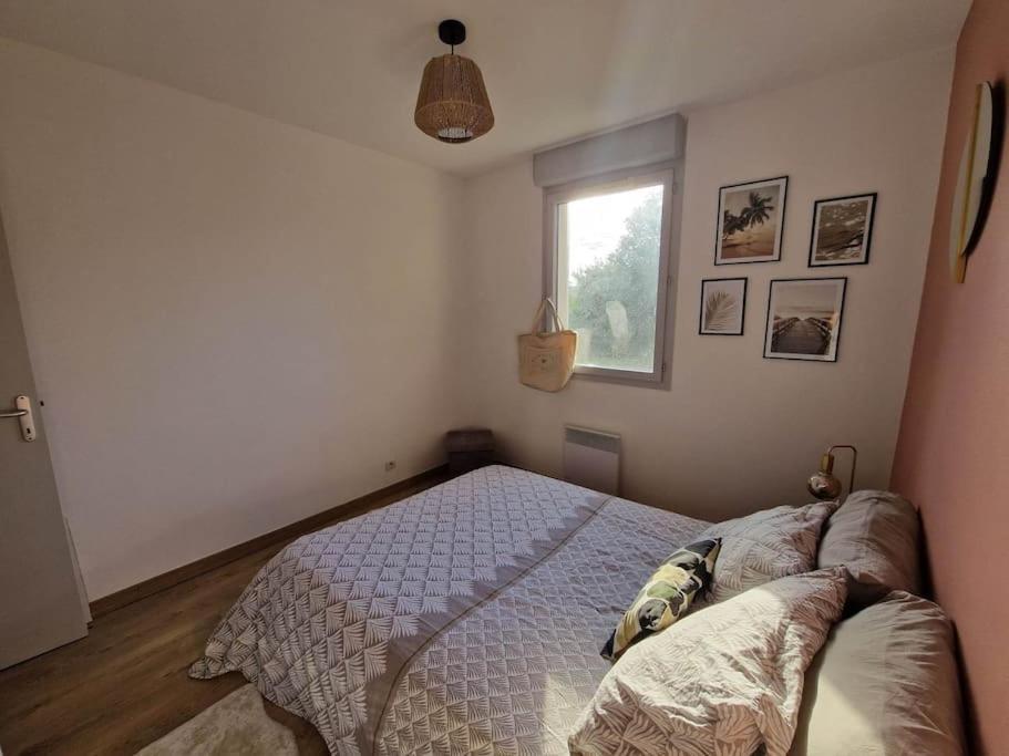 Appartement Cosy Oloron, Aux Pieds Des Pyrenees Et De L'Atlantique! Oloron-Sainte-Marie Exterior foto